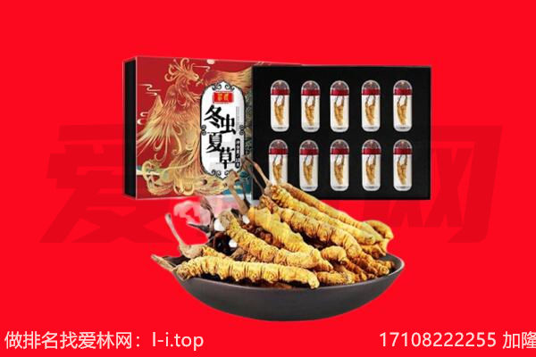 巴音郭楞若羌县回收虫草.jpg